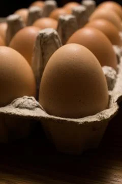 Eggs poultry concept. Stock Photos