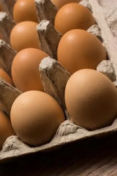 Eggs poultry concept. Foto stock