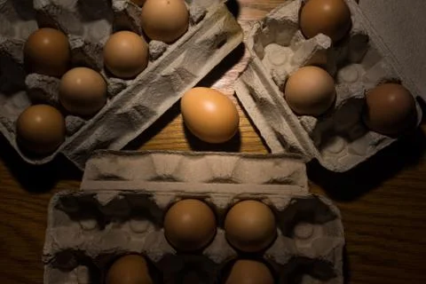 Eggs poultry concept. Stock Photos