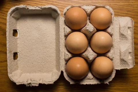 Eggs poultry concept. Foto stock
