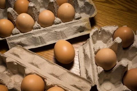 Eggs poultry concept. Stock Photos