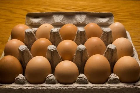 Eggs poultry concept. Stock Photos