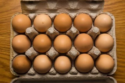 Eggs poultry concept. Stock Photos