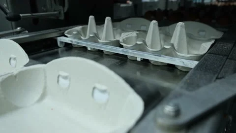Eggs production and processing farm. Details with factory processing lines. Video stock 164371426