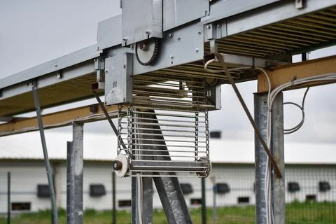 Eggs production and processing farm. Details with factory processing lines. Stock Photos