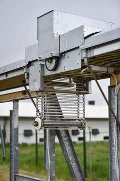 Eggs production and processing farm. Details with factory processing lines. Stock Photos