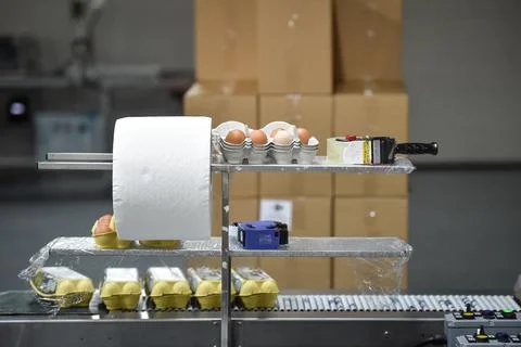 Eggs production and processing farm. Details with factory processing lines. Stock Photos