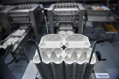 Eggs production and processing farm. Details with factory processing lines. Stock Photos