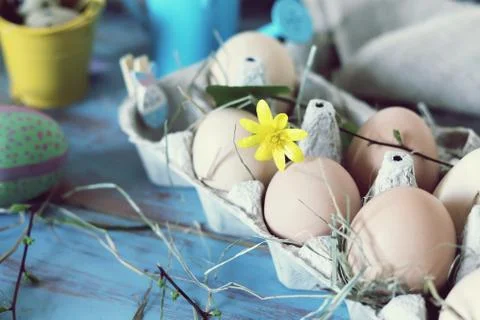 Eggs, quail, easter decor on a blue wooden table, top view Stock Photos