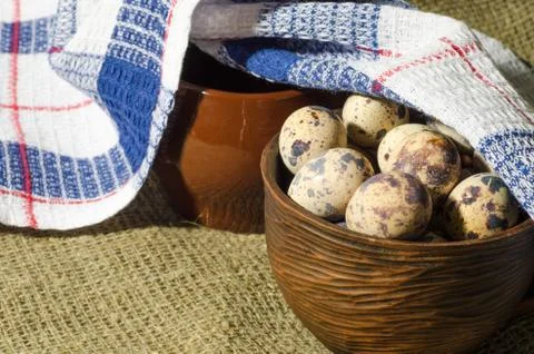 Eggs of quail Foto stock