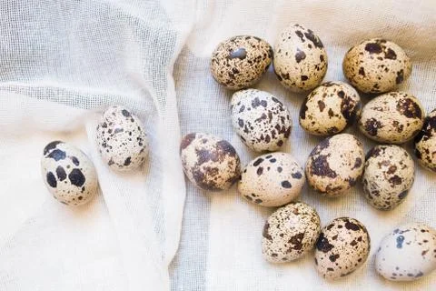 Eggs of quails on textile Stock-Fotos
