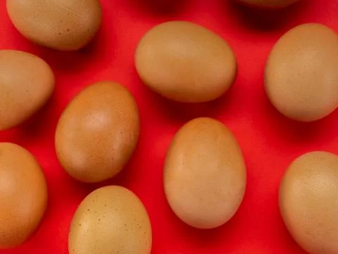 Eggs on a red background Stock Photos