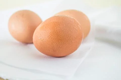 Eggs in the refrigerator at cool temperatures until a drop of steam on the eg 库存照片