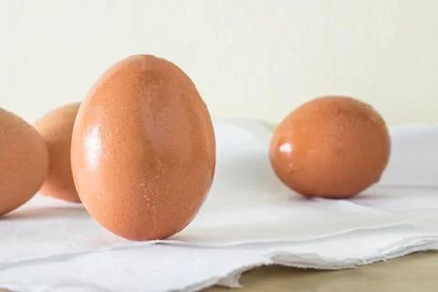 Eggs in the refrigerator at cool temperatures until a drop of steam on the eg Stock Photos