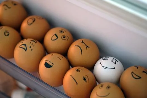 Eggs in the refrigerator in a plastic container. Stock Photos