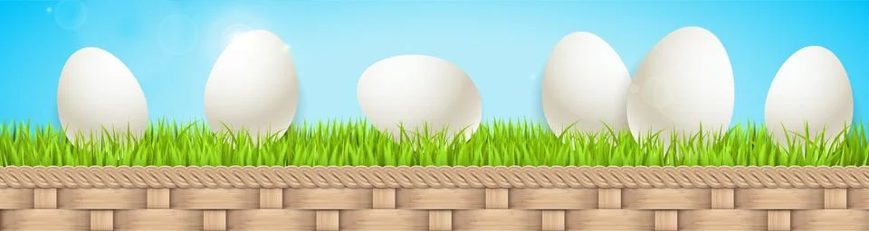 Eggs rolling on grass Stock Illustration