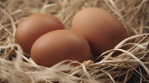 Eggs rotate in straw. Close-up of three fresh, organic and healthy chicken egg. Stockbeeldmateriaal 181167070