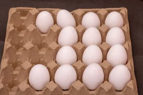 Eggs in a row inside a carton box. Side view Stock Photos