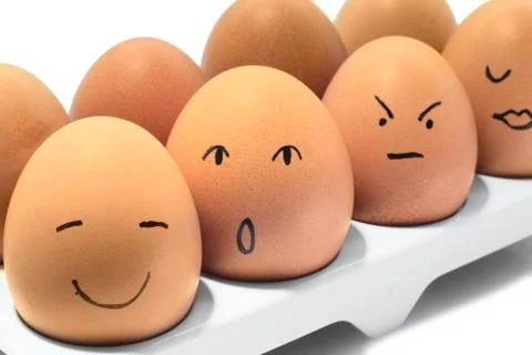 Eggs row Stock Photos