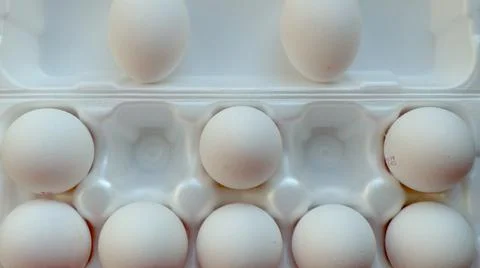 Eggs in a row Foto stock