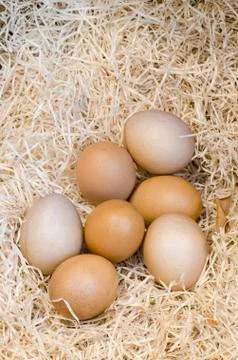 Eggs in a rustic store Stock Photos