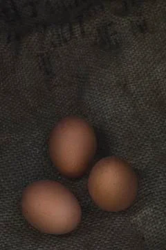 Eggs on sackcloth background Stock Photos