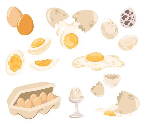 Eggs set. Fresh and boiled eggs. Broken with a cracked eggshell, in a cardboa Stock Illustration