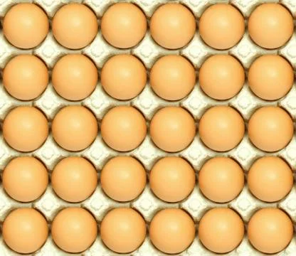 Eggs set Stock Photos