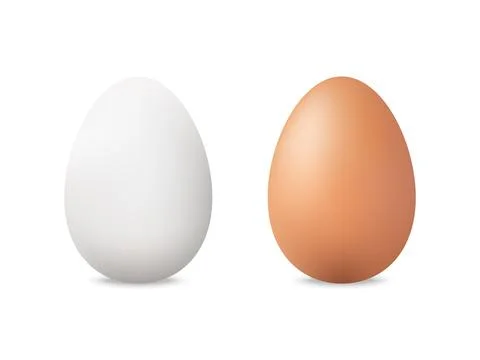 Eggs set. Realistic white and brown chicken eggs. Organic food concept. Whole Stock-Illustration