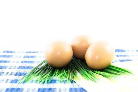 Eggs set on table mat and green grass Stock Photos