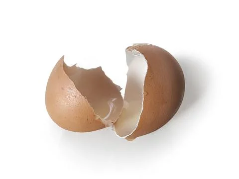 Eggs shell isolated on a white background 스톡 사진