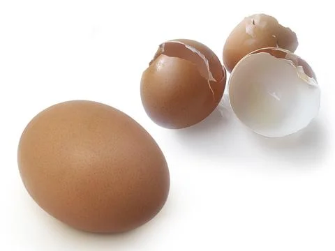Eggs shell isolated on a white background Stock Photos