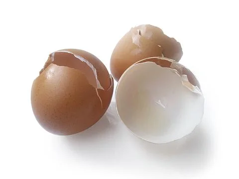 Eggs shell isolated on a white background Stock Photos