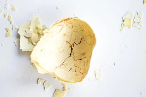 Eggs shell on a white background Stock Photos