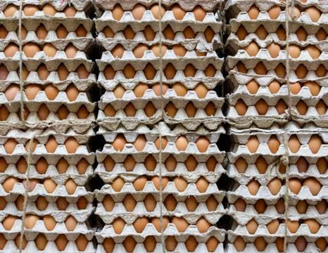 Eggs in a a shop Stock Photos