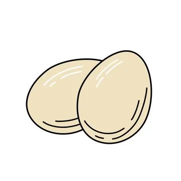 Eggs sketch. Vector illustration. 스톡 일러스트