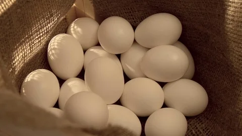 Eggs in slow motion Stock Footage 77046018