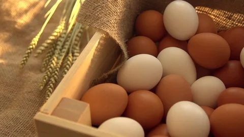 Eggs in slow motion Stock Footage 77047235
