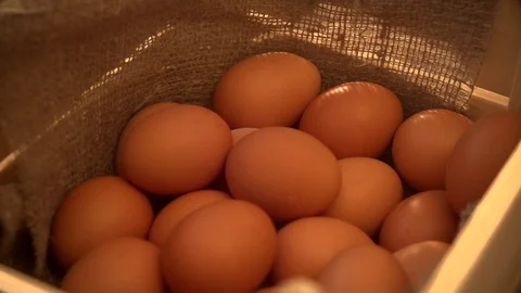 Eggs in slow motion Stock Footage 77076630