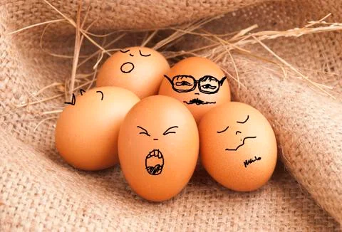 Eggs smiling , relax or rest concept  Stock Photos