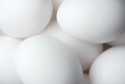 Eggs solid background 库存照片