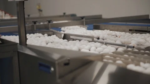 Eggs sorting in the factory.Eggs are checked for quality. Packing on the product Stock Footage 90422875