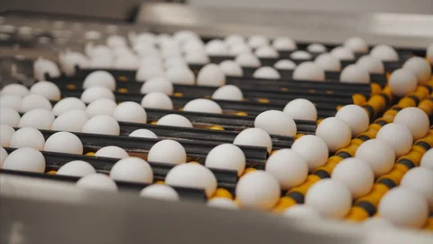 Eggs sorting in the factory.Eggs are checked for quality. Packing on the product Stock Footage 90423098
