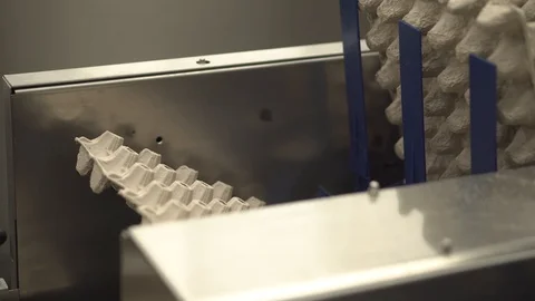 Eggs sorting in the factory.Eggs are checked for quality. Packing on the product Stock Footage 90423295