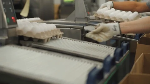 Eggs sorting in the factory.Eggs are checked for quality. Packing on the product Stock Footage 90423415