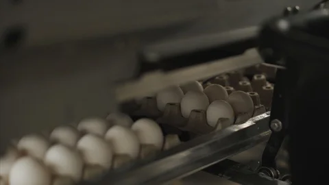 Eggs sorting in the factory.Eggs are checked for quality. Packing on the product Stock Footage 90423736