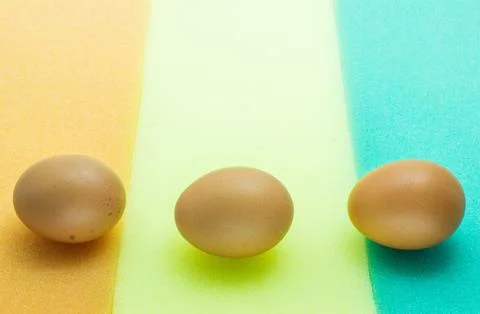 Eggs on sponge Stock Photos