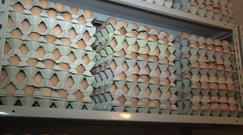 Eggs stacked for sale Stock Footage 48808028