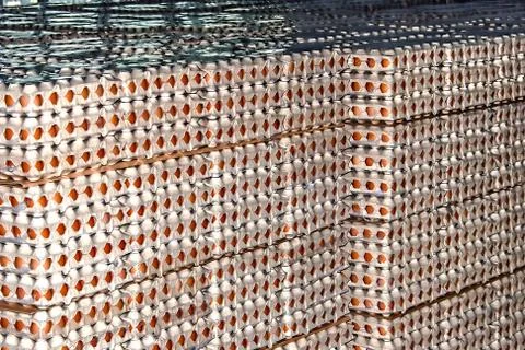 Eggs stored 3 Stock Photos