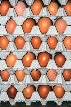 Eggs stored 5 Stock Photos